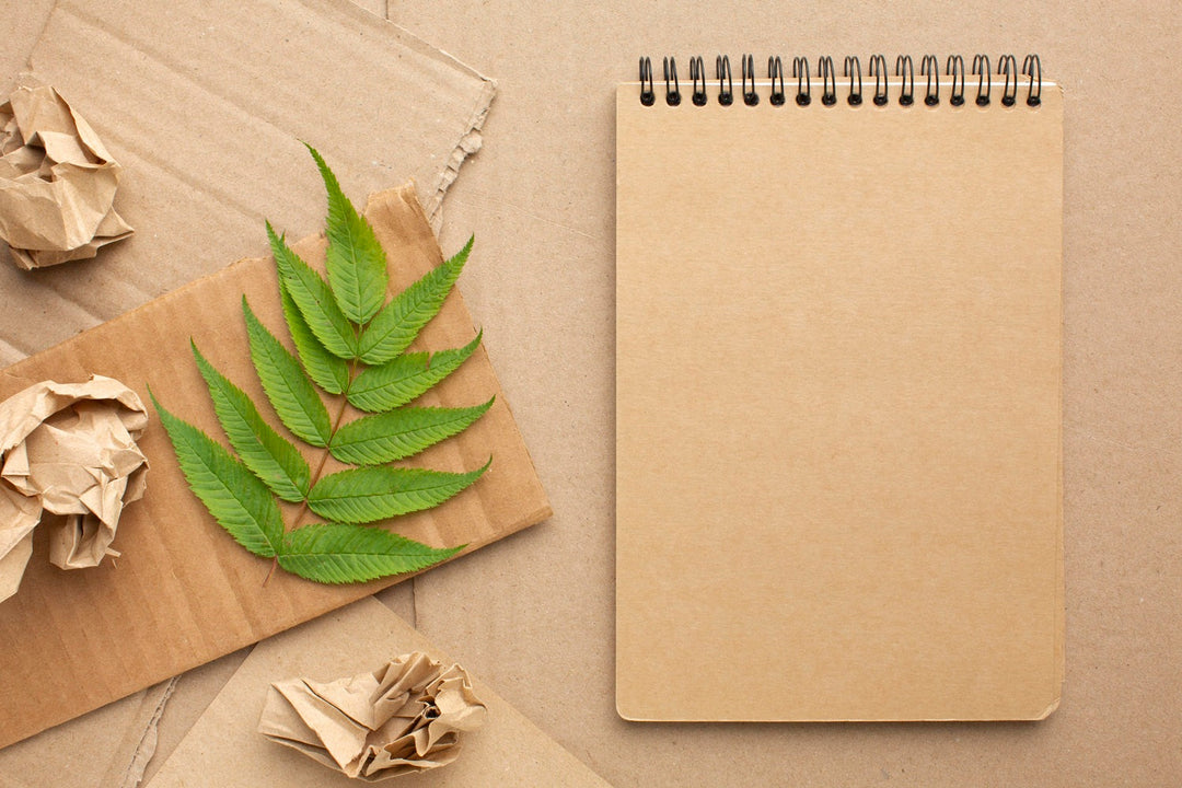 Eco-Friendly Notebooks: Saving Trees or Just a Pretty Cover Story?