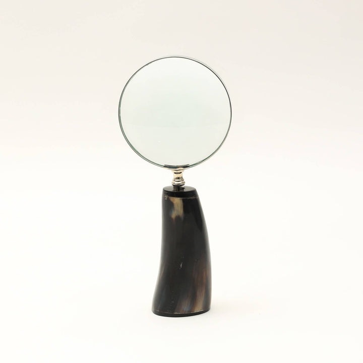 Horn Magnifier