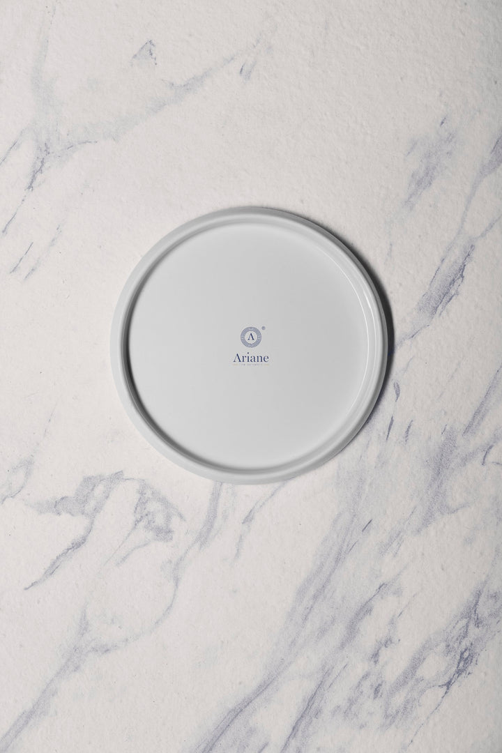 Porcelain Plate | Artistic & Modern Serveware | Set of 6