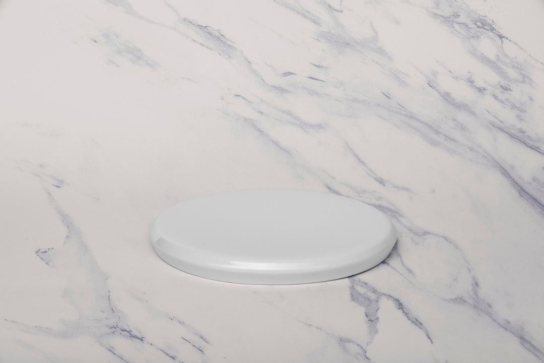 Porcelain Plate | Artistic & Modern Serveware | Set of 6