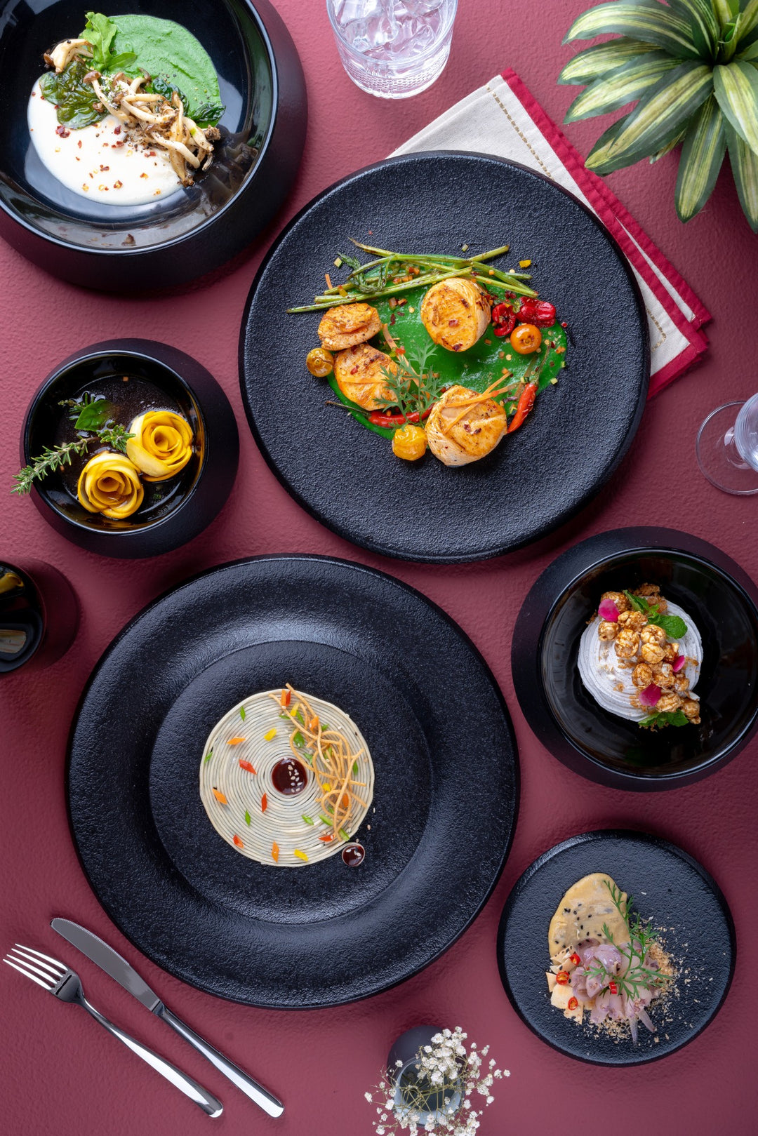 Porcelain Plate | Artistic & Modern Serveware | Set of 6