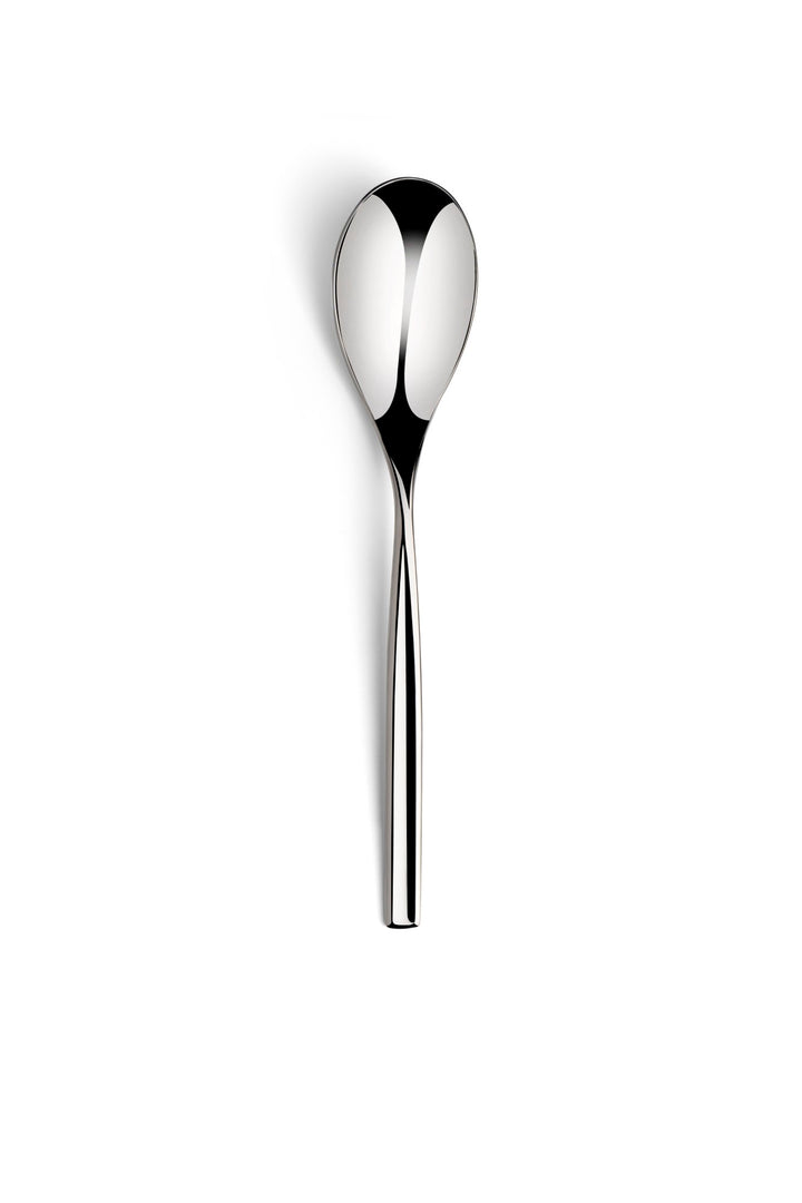 Stainless Steel Dessert Spoon Set of 12 | 7.5", Silver