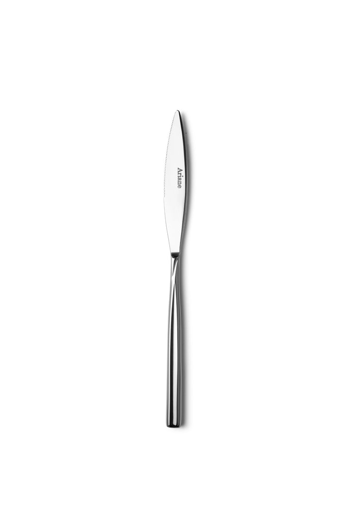 Stainless Steel Dinner Knife | 9.4", Silver, Set of 12