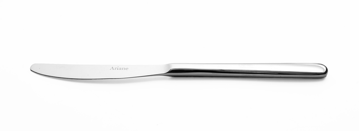 Stainless Steel Dinner Knife | 9", Silver, Set of 12