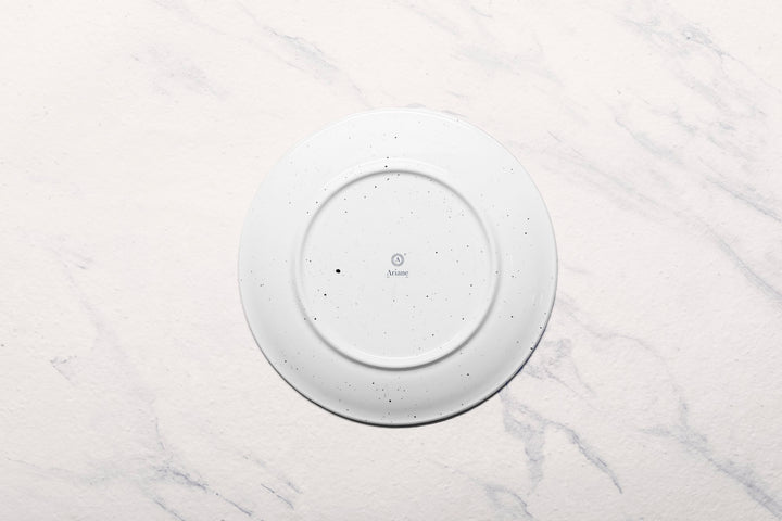 Porcelain Plate | Vital Coupe Round Rimless Plate | Set of 6