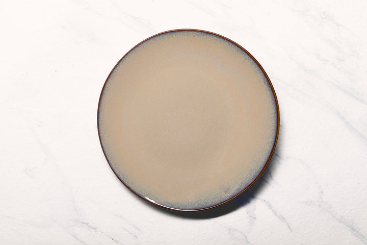 Porcelain Plate | 11.4" Vital Coupe Elevated Plate | 6 Pcs