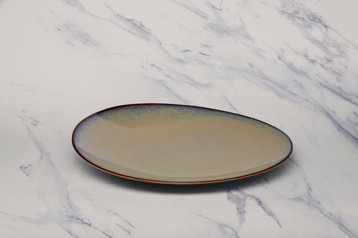 Porcelain Plate | 11.4" Vital Coupe Elevated Plate | 6 Pcs