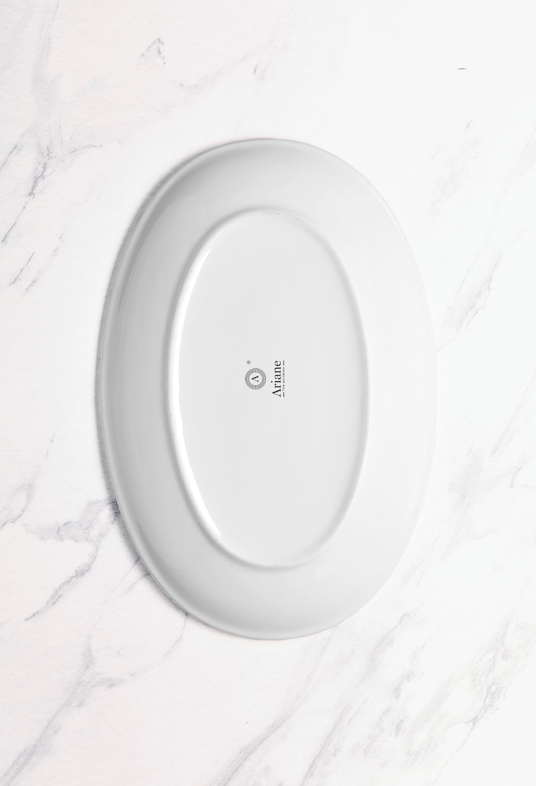 Porcelain Oval Plate | 10.2" Vital Coupe Plate | Set of 6