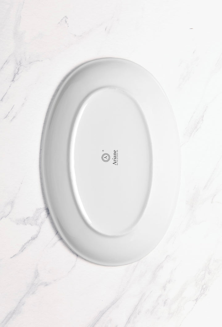 Porcelain Oval Plate | 10.2" Vital Coupe Plate | Set of 6