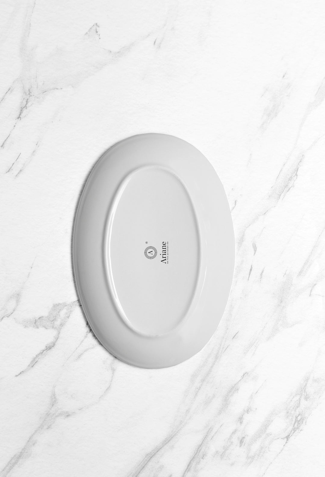 Porcelain Oval Plate | 10.2" Vital Coupe Plate | Set of 12
