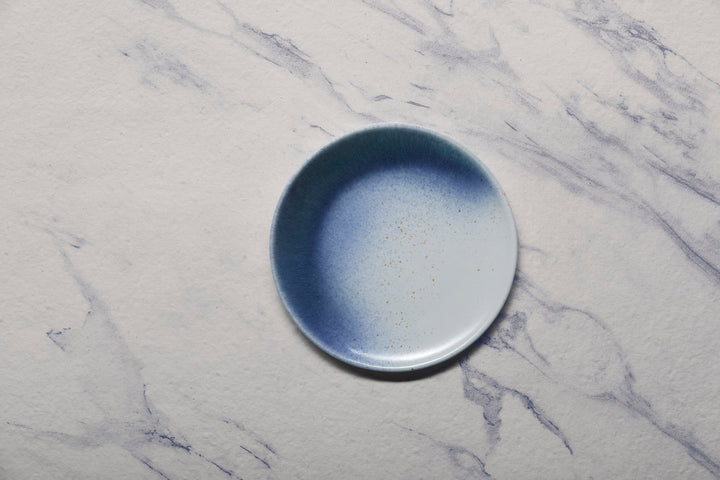 Porcelain Plate | Vital Coupe Elevated Plate, Set of 12