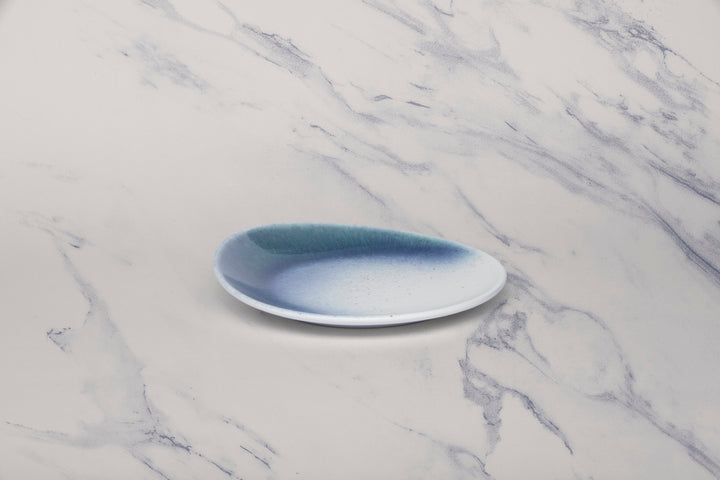 Porcelain Plate | Vital Coupe Elevated Plate, Set of 12
