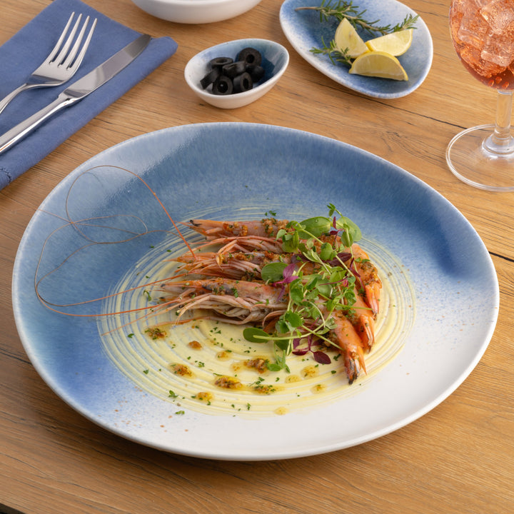 Porcelain Plate | 11.4" Vital Coupe Elevated Plate | 6 Pcs