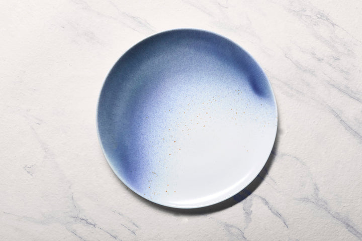 Porcelain Plate | 11.4" Vital Coupe Elevated Plate | 6 Pcs