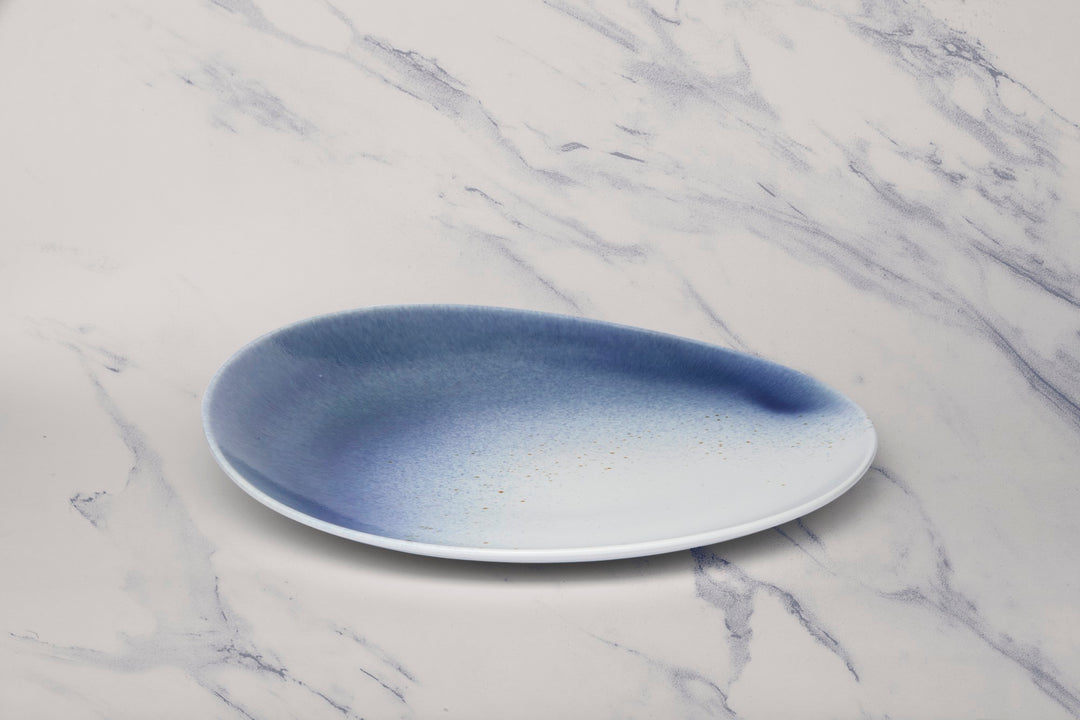 Porcelain Plate | 11.4" Vital Coupe Elevated Plate | 6 Pcs