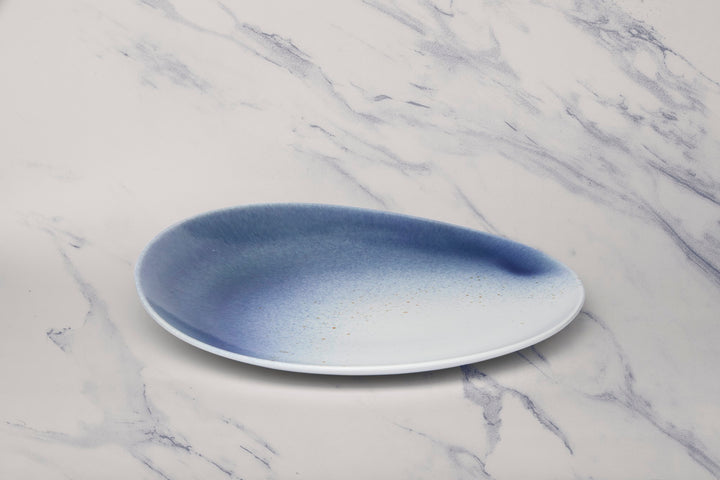 Porcelain Plate | 11.4" Vital Coupe Elevated Plate | 6 Pcs