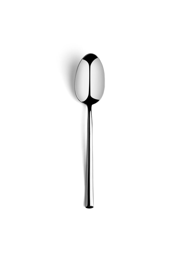 Stainless Steel Dinner Spoon | 8.1", Silver, Set of 12
