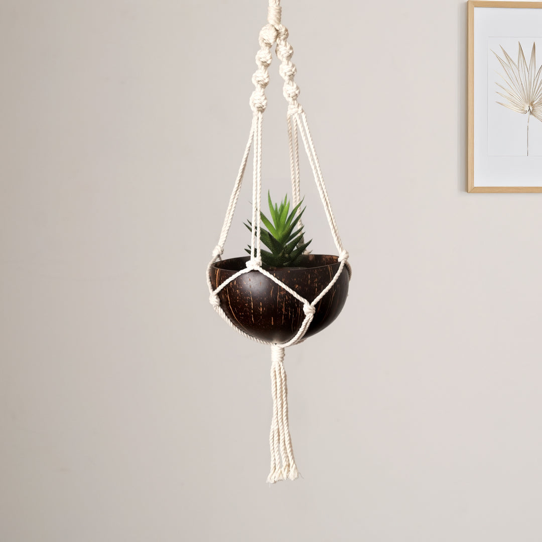 Coconut Shell Hanging Planter | Natural Ecofriendly Suspended Garden Pot