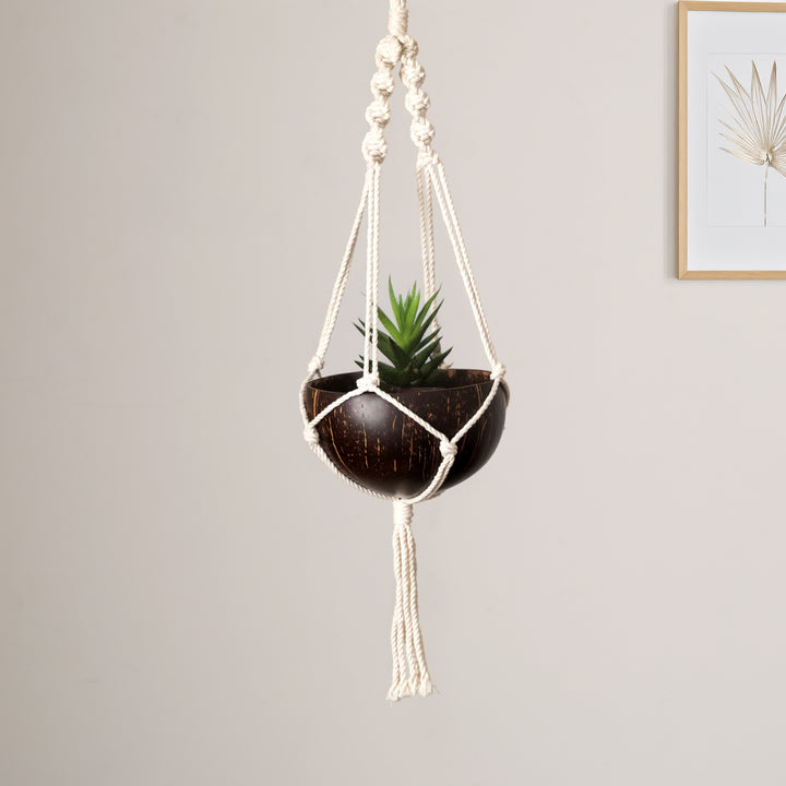 Coconut Shell Hanging Planter | Natural Ecofriendly Suspended Garden Pot