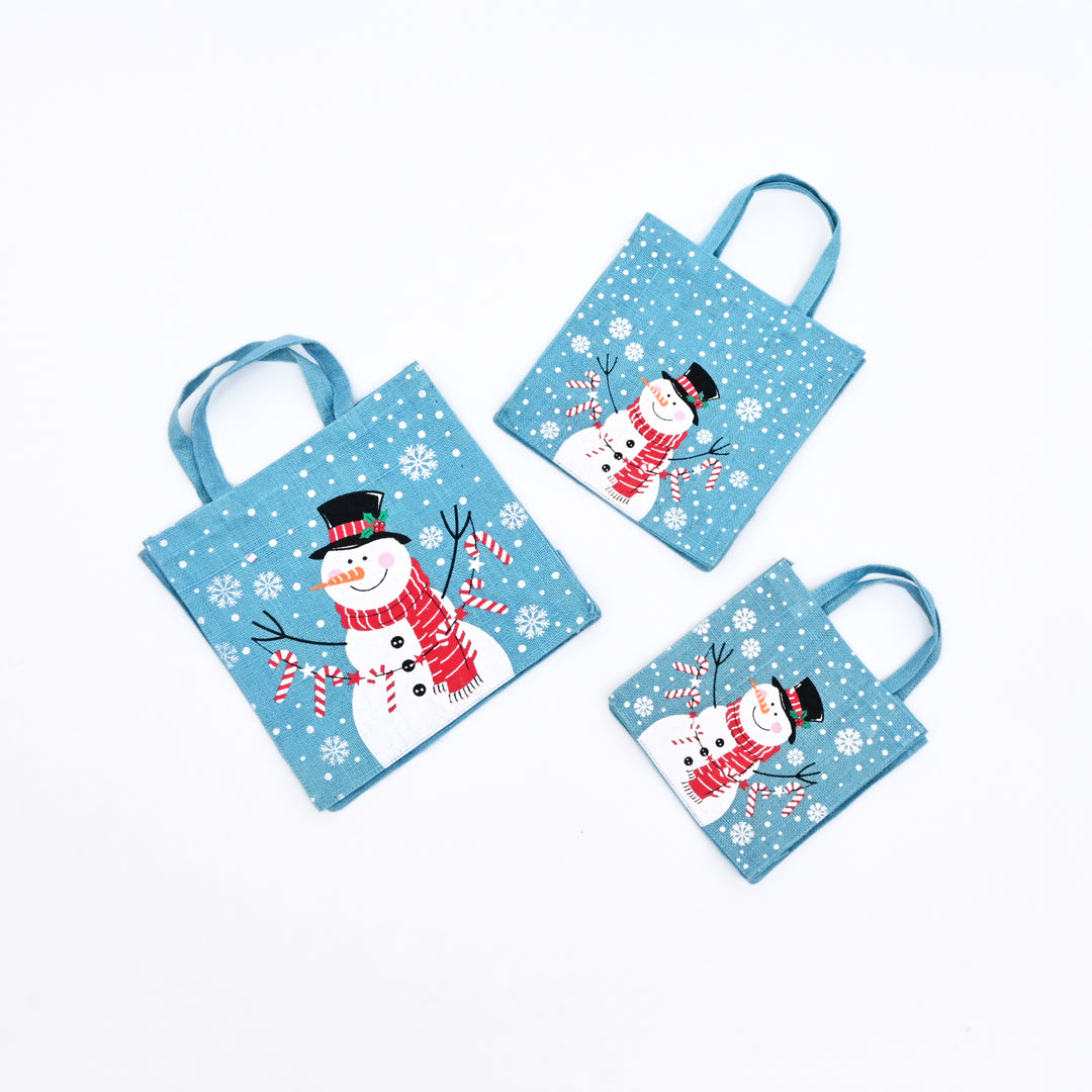 Christmas Gift Bag | Laminated Printed Gift Bag | Ice Blue