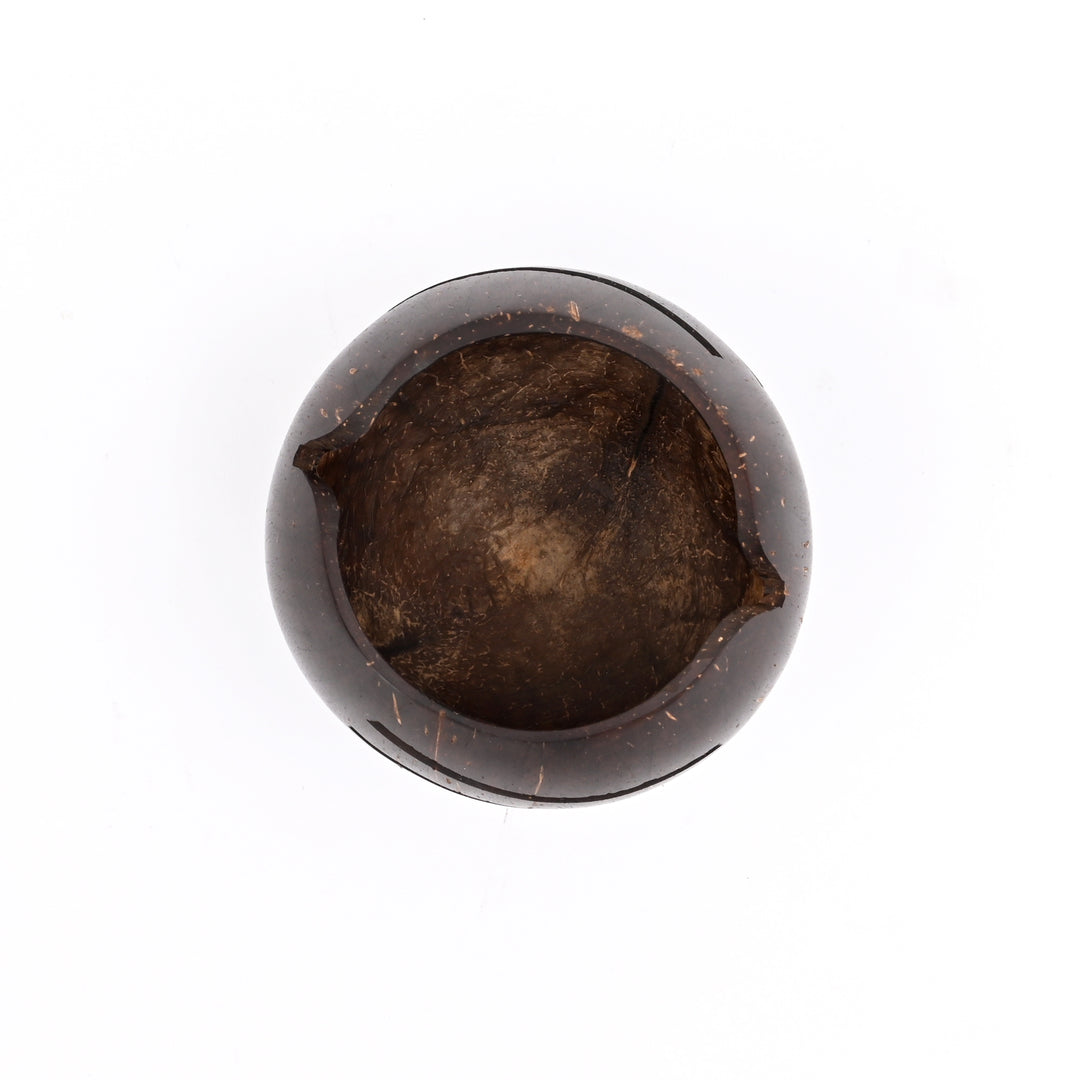 Handcrafted Coconut Shell Pen Holder | Ecofriendly, Unique Desk Organizer