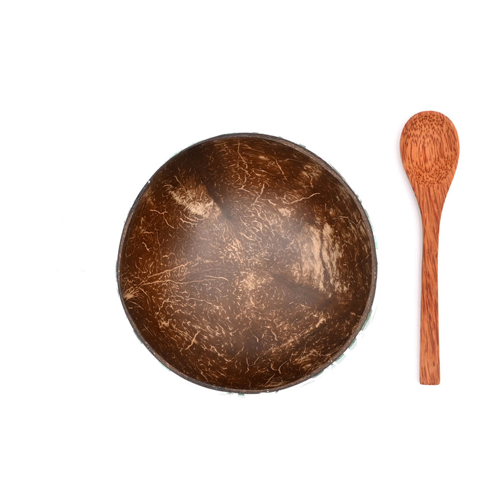 Handcrafted Coconut Shell Enamel Bowl | Sustainable Decor & Serving Dish