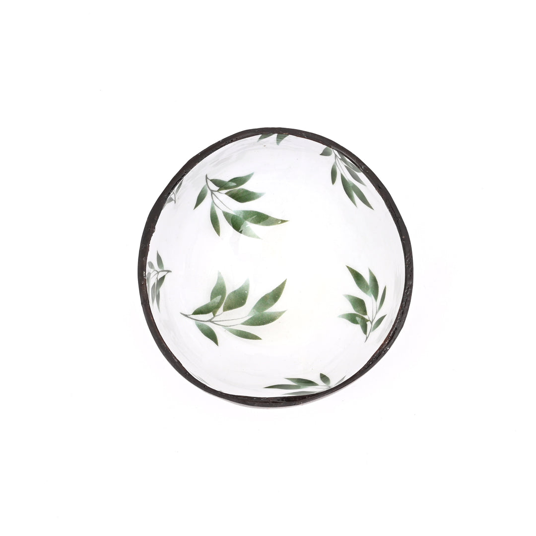 Handcrafted Coconut Shell & Enamel Ceramic Bowl | Ecofriendly & Stylish