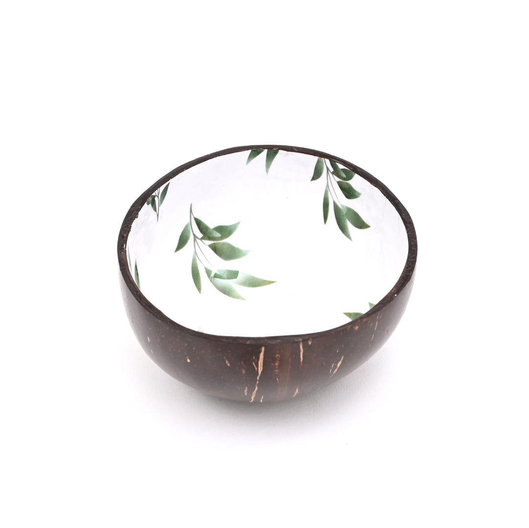 Handcrafted Coconut Shell & Enamel Ceramic Bowl | Ecofriendly & Stylish