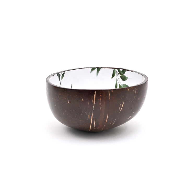 Handcrafted Coconut Shell & Enamel Ceramic Bowl | Ecofriendly & Stylish