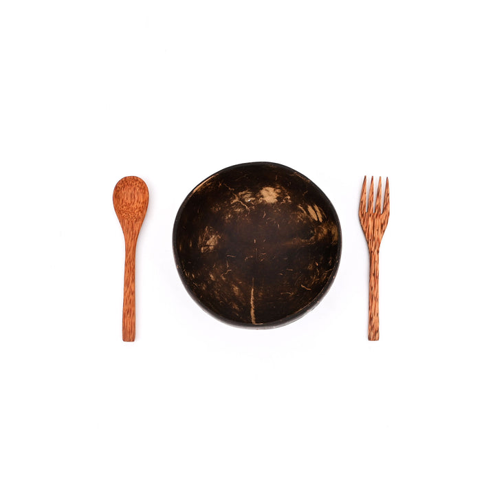 Ecofriendly Palm Leaf Bowl & Coconut Shell Cutlery Set | Sustainable Dining