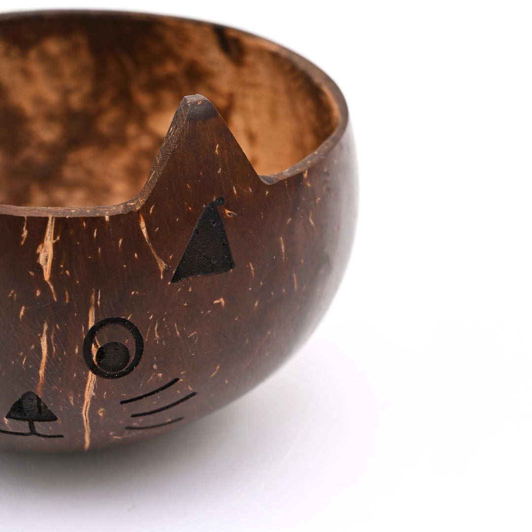 Ecofriendly Cat Bowl Made from Real Coconut Shell | Sustainable Pet Dining