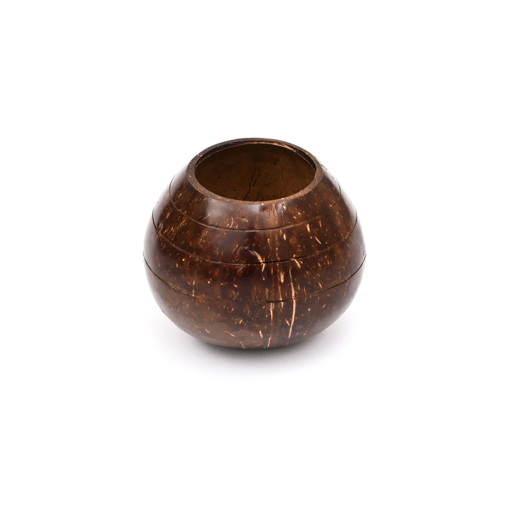 Natural Coconut Shell Planter | Ecofriendly Sustainable Pot