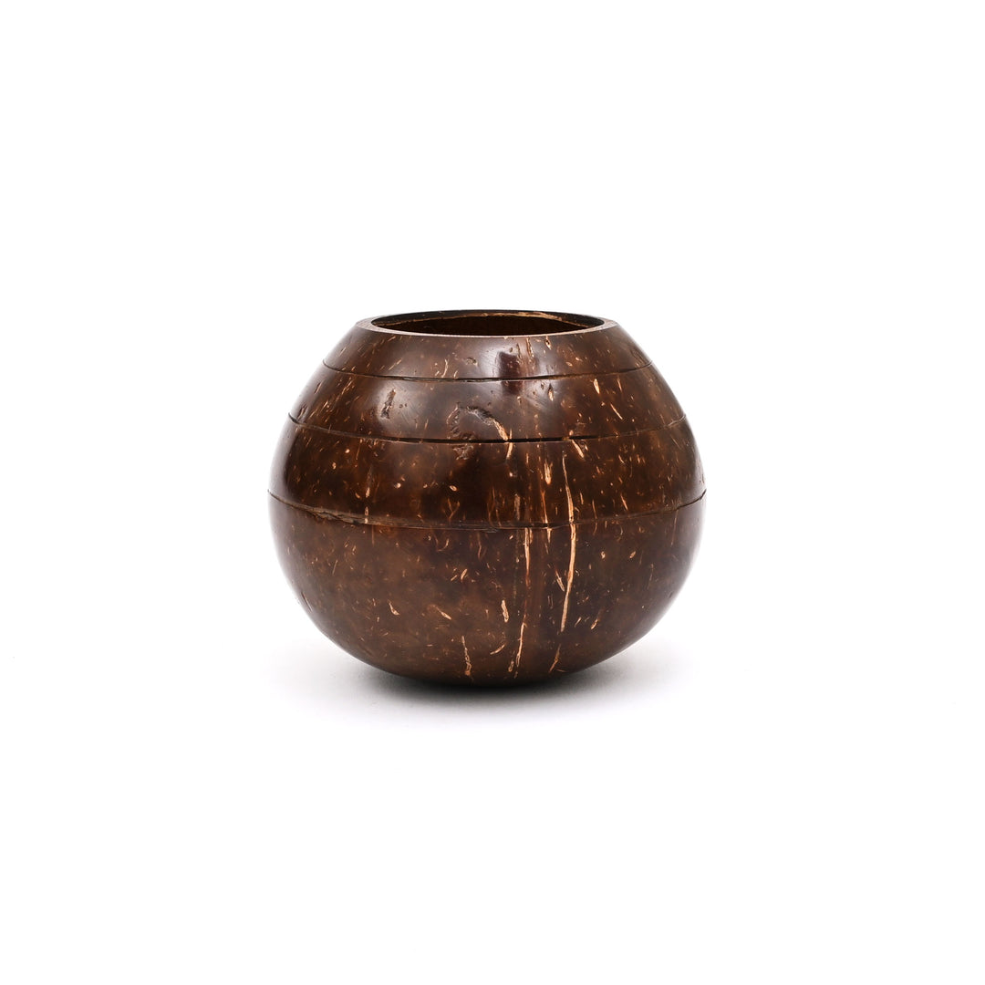 Natural Coconut Shell Planter | Ecofriendly Sustainable Pot