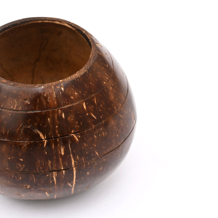 Natural Coconut Shell Planter | Ecofriendly Sustainable Pot
