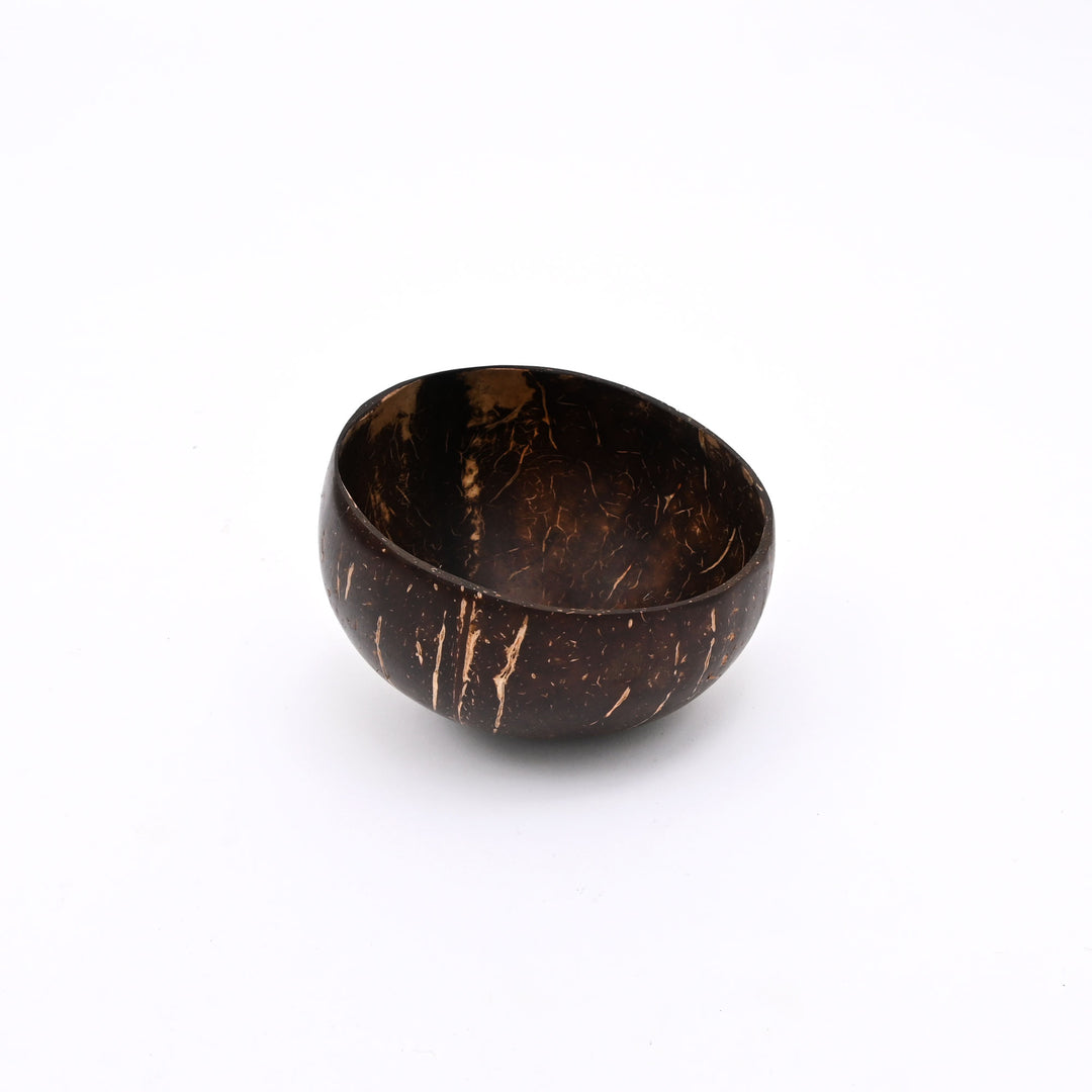 Coconut Shell Hanging Planter | Natural Ecofriendly Suspended Garden Pot