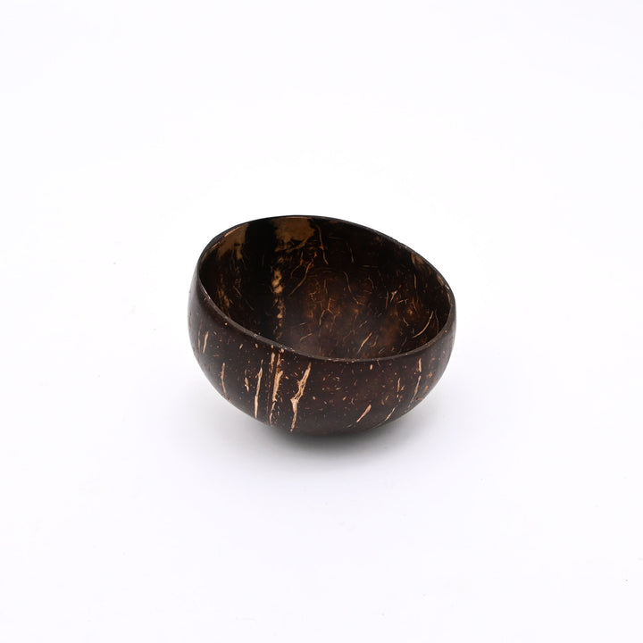 Coconut Shell Hanging Planter | Natural Ecofriendly Suspended Garden Pot