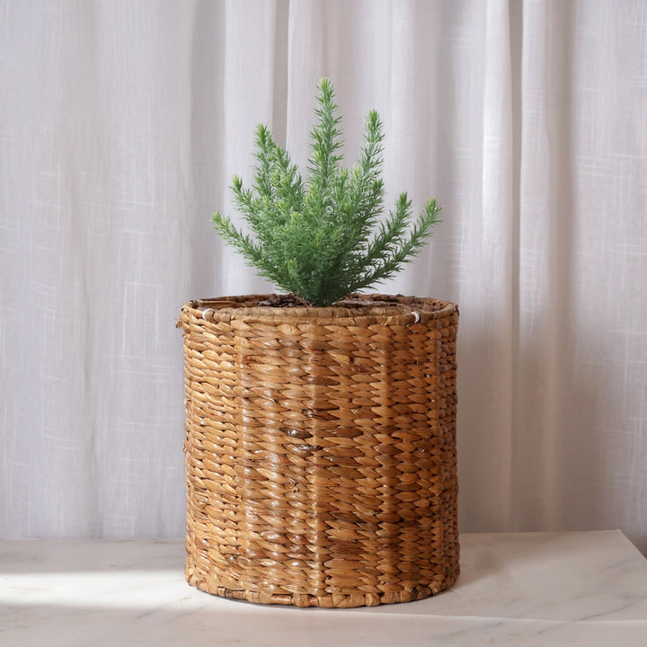 Handwoven Water Hyacinth Planter | Ecofriendly Plant Holder with Iron Frame