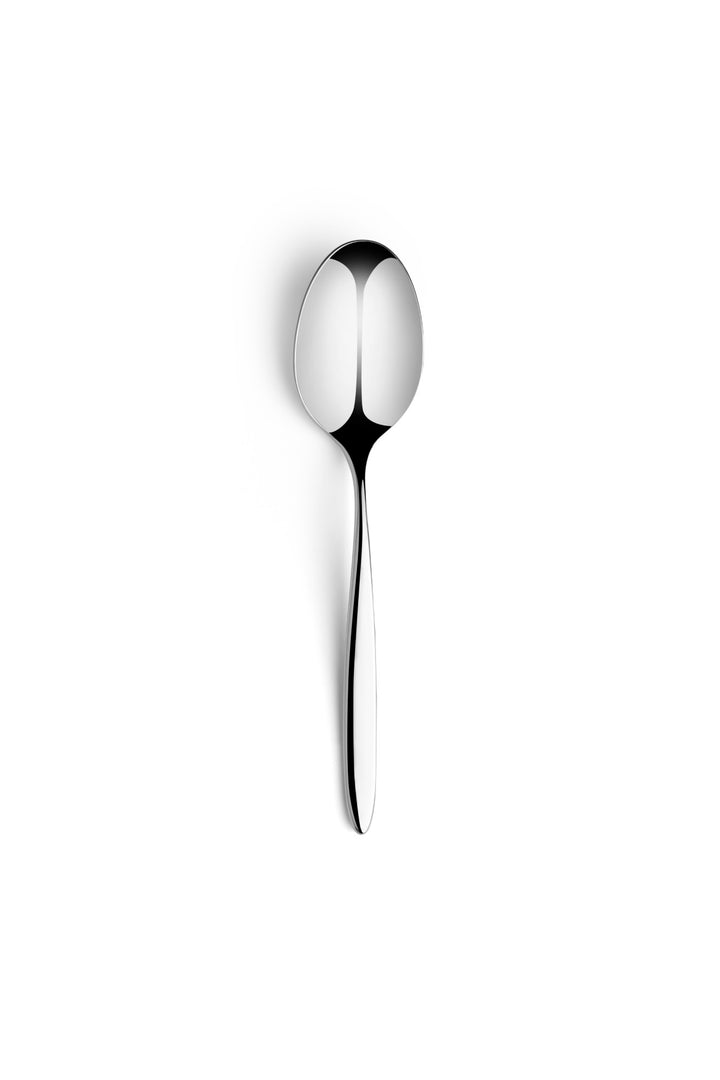 Stainless Steel Dinner Spoon | 8.2", Silver, Set of 12