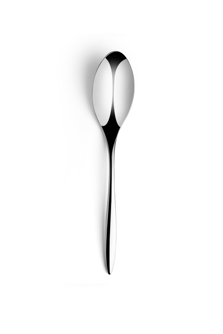 Stainless Steel Dinner Spoon | 8.6", Silver, Set of 12
