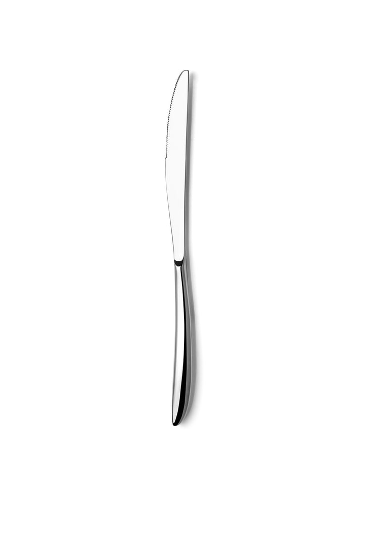 Premium Dessert Knife Set 12 Pcs, 8.5", Stainless Steel