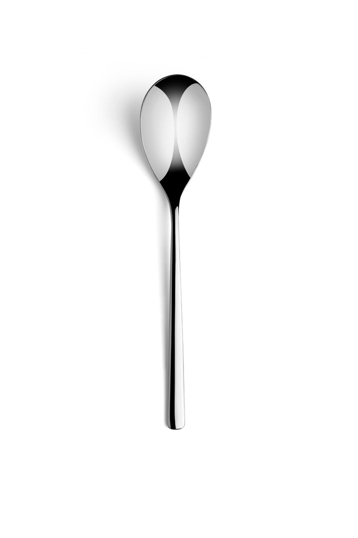 Stainless Steel Dinner Spoon Set of 12 | 8.5", Silver