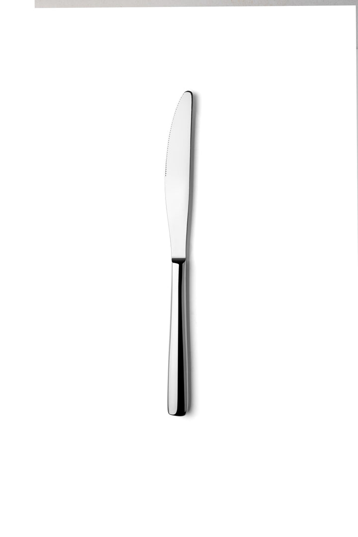 Stainless Steel Heavy Weight Dinner Knife | Pack of 12 Pcs