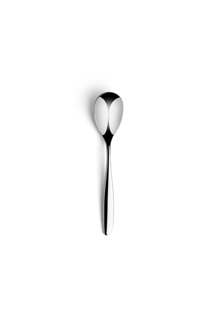 Stainless Steel Tea Spoon | 5.8", Silver, Pack of 12