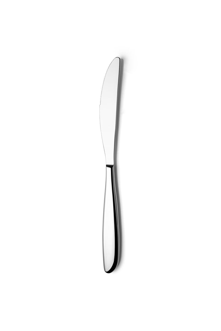 Stainless Steel Heavy Weight Dinner Knife | Set of 12 Pcs