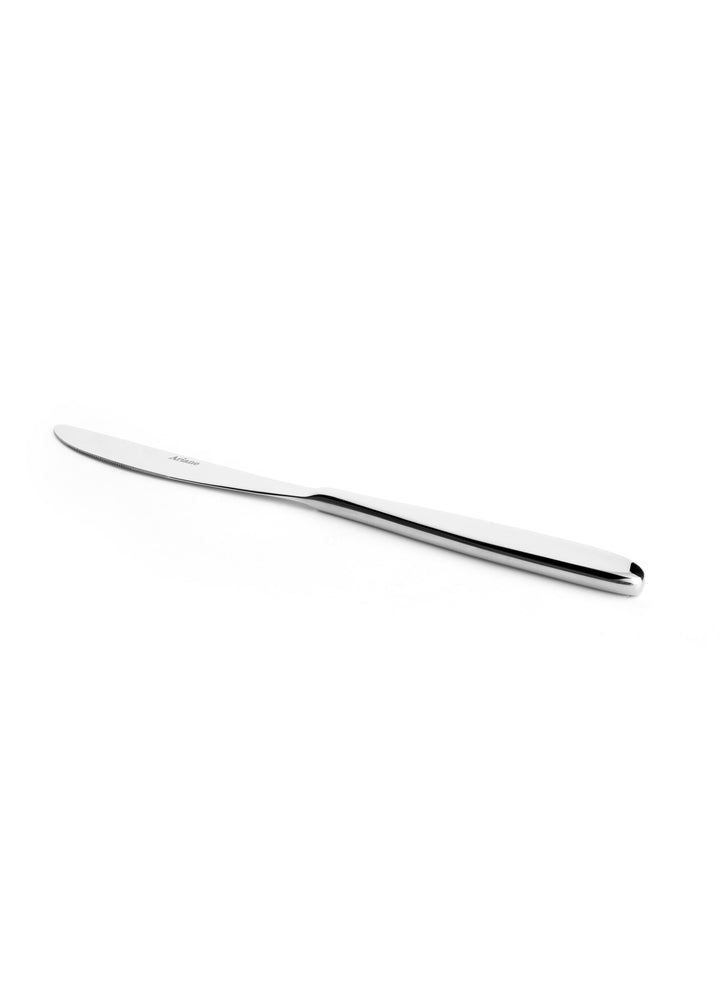 Stainless Steel Heavy Weight Dinner Knife | Set of 12 Pcs