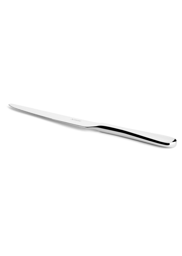 Stainless Steel Table Knife, Heavy Weight | Pack of 12 Pcs
