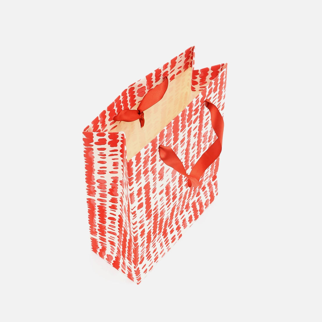 Gift Bag | Handmade Paper Bag | Eco-Friendly Gift Bags for Special Occasions | Pack of 5