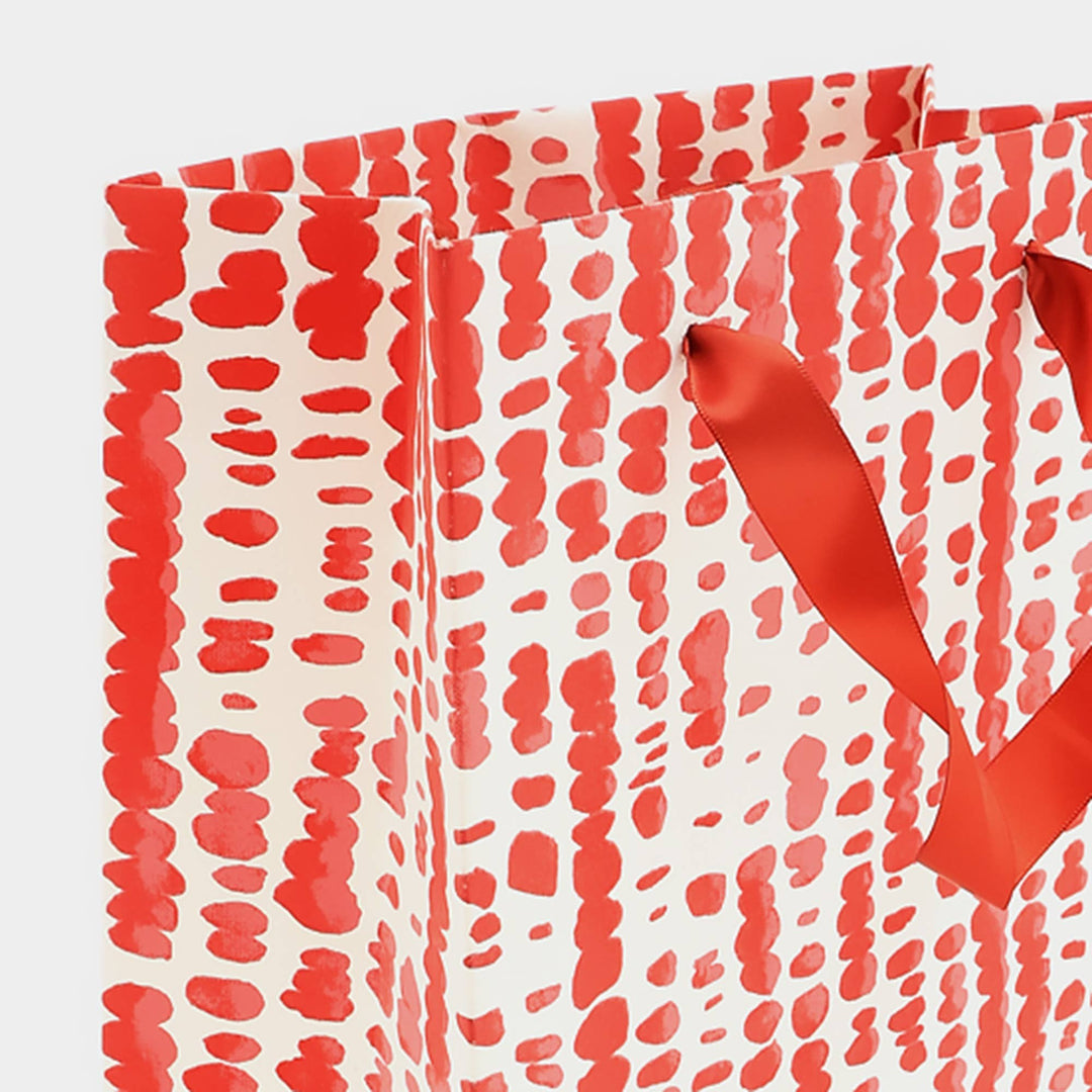 Gift Bag | Handmade Paper Bag | Eco-Friendly Gift Bags for Special Occasions | Pack of 5