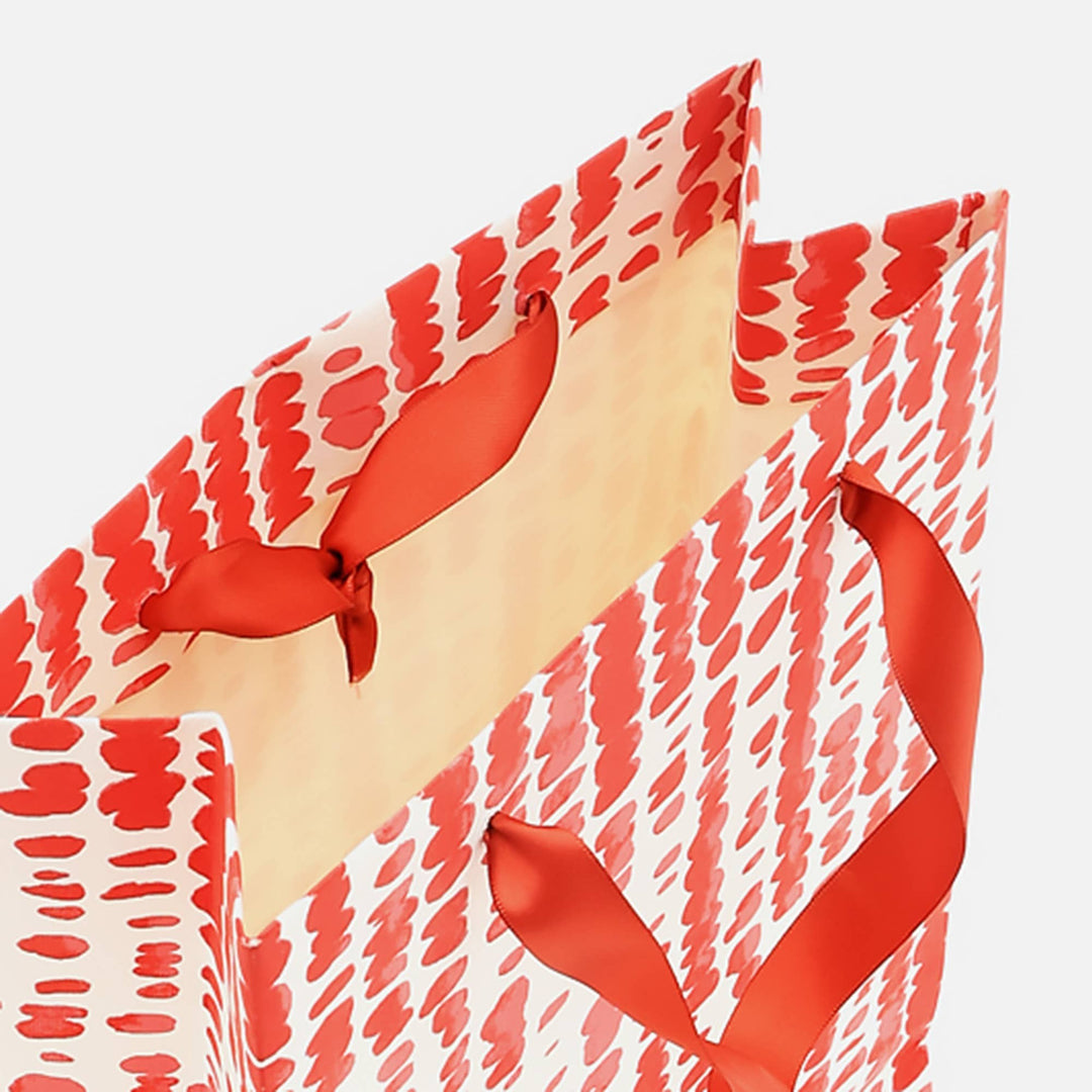 Gift Bag | Handmade Paper Bag | Eco-Friendly Gift Bags for Special Occasions | Pack of 5