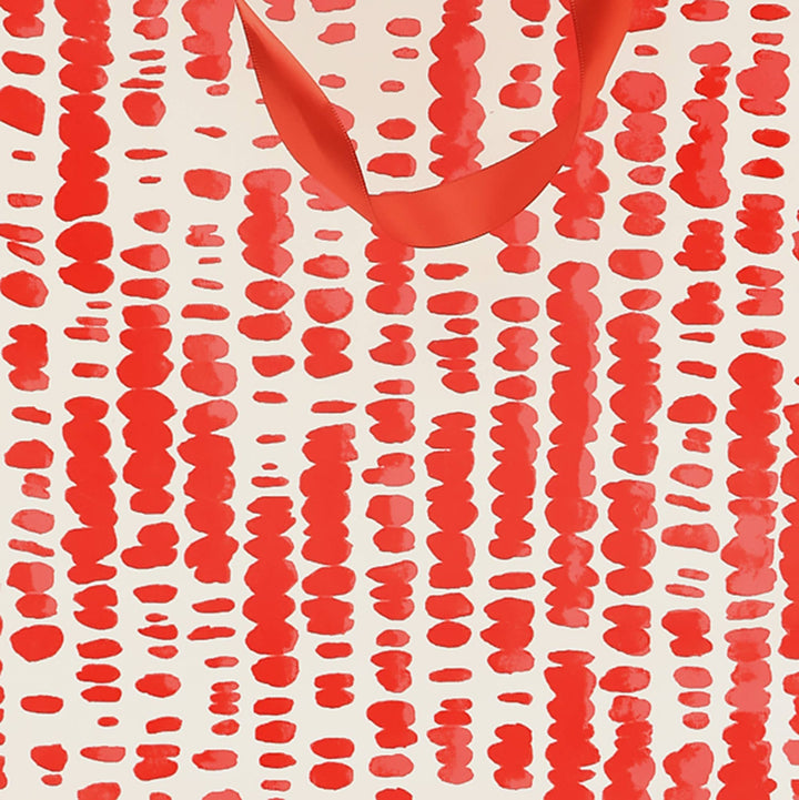 Gift Bag | Handmade Paper Bag | Eco-Friendly Gift Bags for Special Occasions | Pack of 5